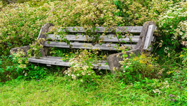 Garden Clearances Morecambe and Lancaster Local Areas